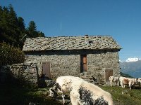 Casotto Aciano Casotto Aciano